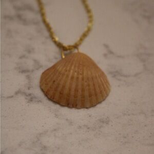Gold Chained Calico Scallop Shell Pendant Necklace